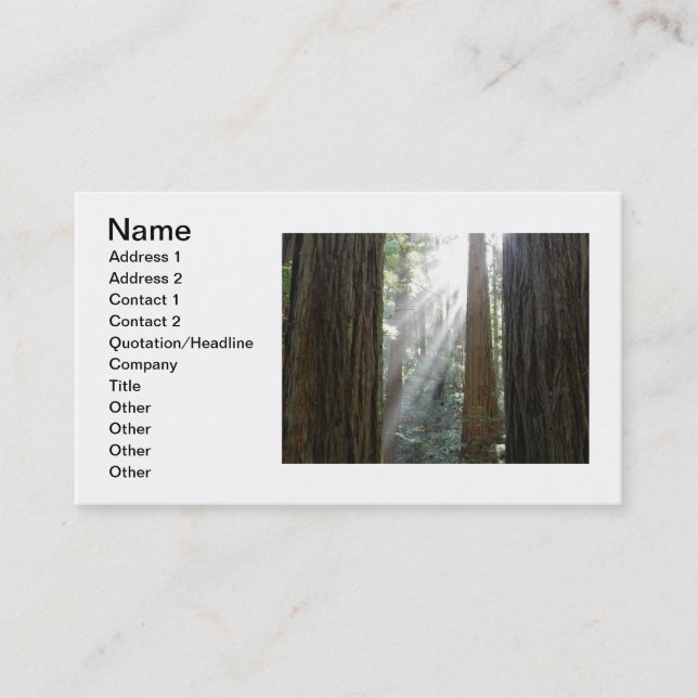 Beautiful Business Card (Front)