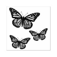 Beautiful Butterflies Monarchs Hand Drawn