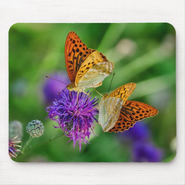 Beautiful Butterflies Mouse Pad (Front)