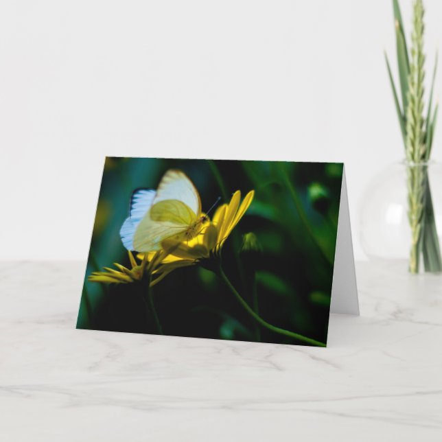 Beautiful Butterfly Blank Notecard (Front)
