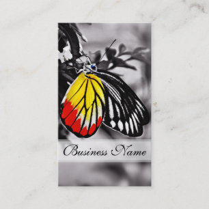 Beautiful Butterfly Business Card