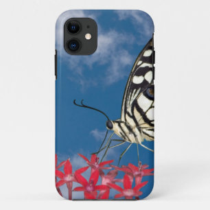 Beautiful Butterfly iPhone 11 Case