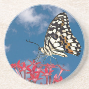 Beautiful Butterfly Coaster