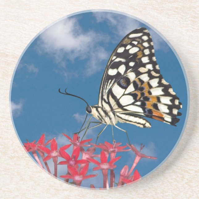 Beautiful Butterfly Coaster (Front)