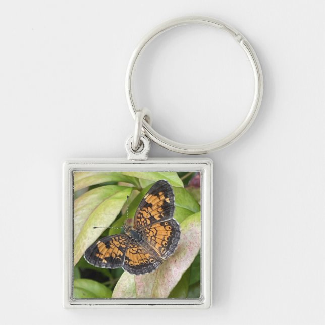 Beautiful Butterfly in Nature Keychain (Front)