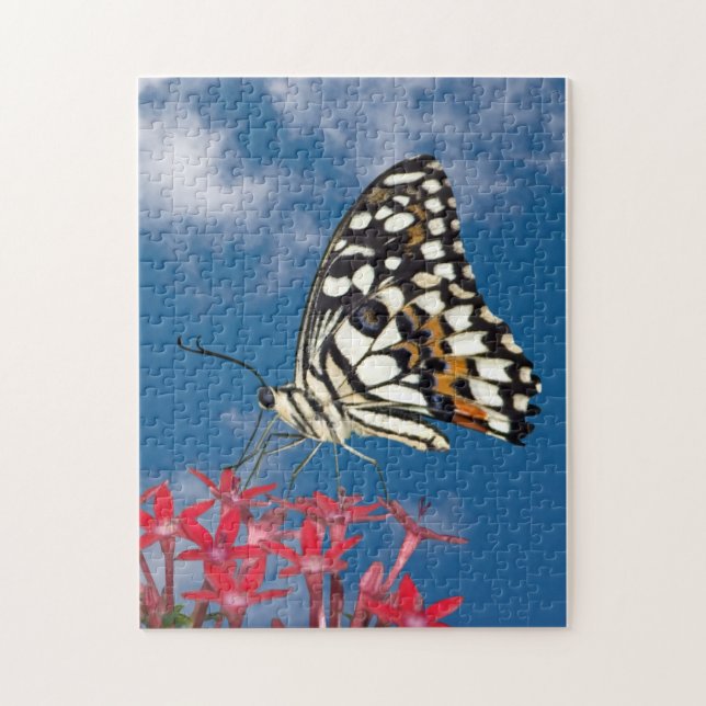 Beautiful Butterfly Jigsaw Puzzle (Vertical)