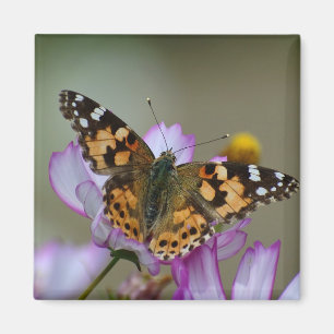 Beautiful Butterfly Magnet