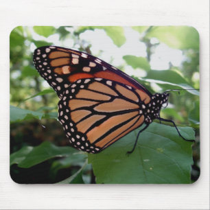 Beautiful Butterfly Mouse Pad