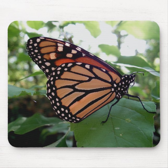 Beautiful Butterfly Mouse Pad (Front)