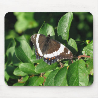 Beautiful Butterfly Mouse Pad