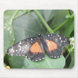 Beautiful Butterfly Mousepad