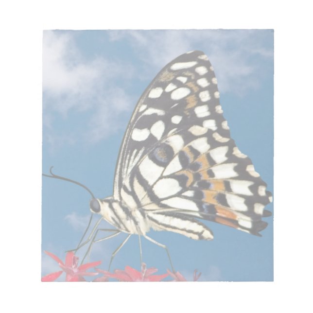 Beautiful Butterfly Notepad (Front)