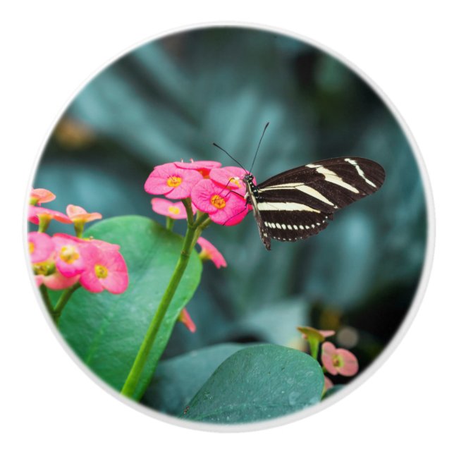 Beautiful butterfly on a pink flower ceramic knob (Front)