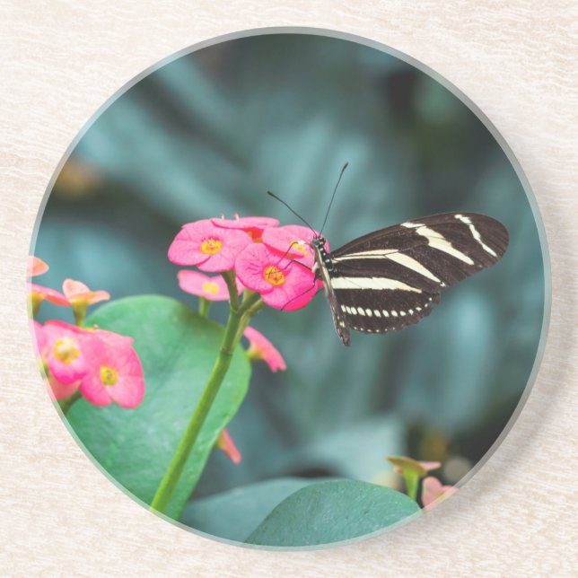 Beautiful butterfly on a pink flower coaster (Front)