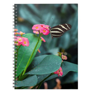 Beautiful butterfly on a pink flower notebook
