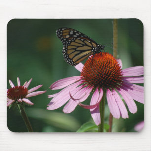 Beautiful Butterfly on a Purple Coneflower Mouse Pad