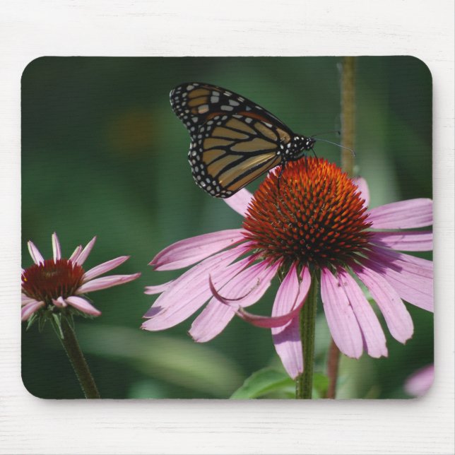 Beautiful Butterfly on a Purple Coneflower Mouse Pad (Front)