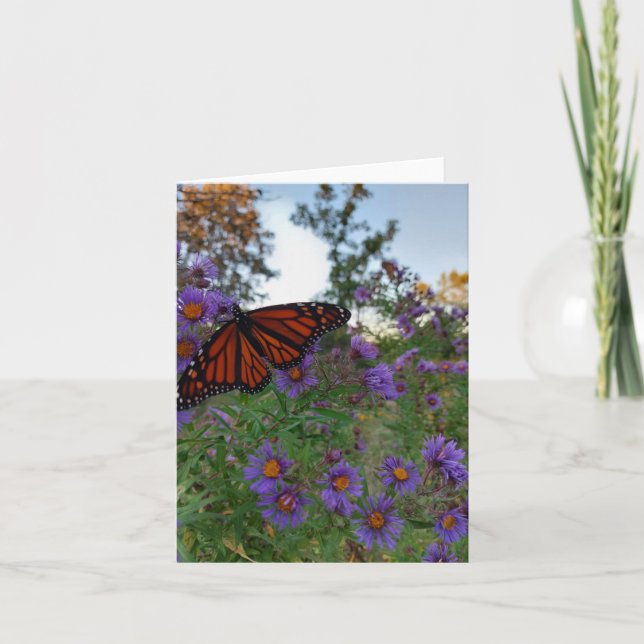 Beautiful butterfly on cornflowers  card (Front)