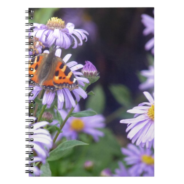 Beautiful Butterfly On Flowers Spiral Notebook (Front)