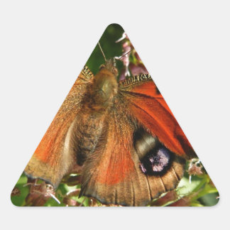 Beautiful Butterfly on Flowers Triangle Sticker