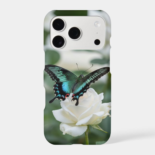 Beautiful Butterfly on white rose -  (Back)