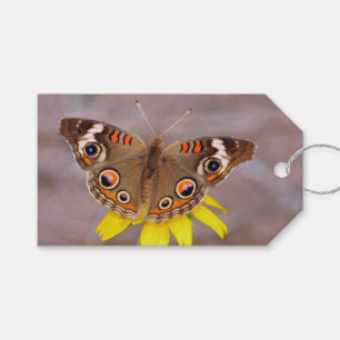 Beautiful Butterfly on Yellow Flower  Gift Tags