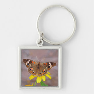Beautiful Butterfly on Yellow Flower Key Ring