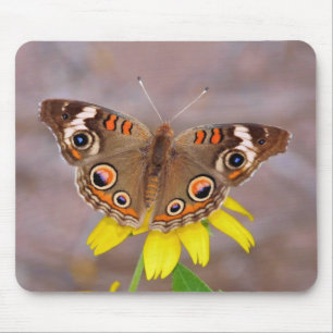 Beautiful Butterfly on Yellow Flower Mouse Pad