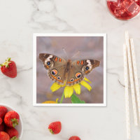 Beautiful Butterfly on Yellow Flower 