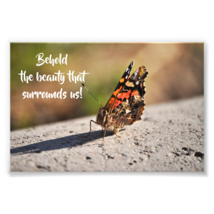 Beautiful Butterfly Photo Print