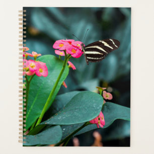 Beautiful butterfly planner