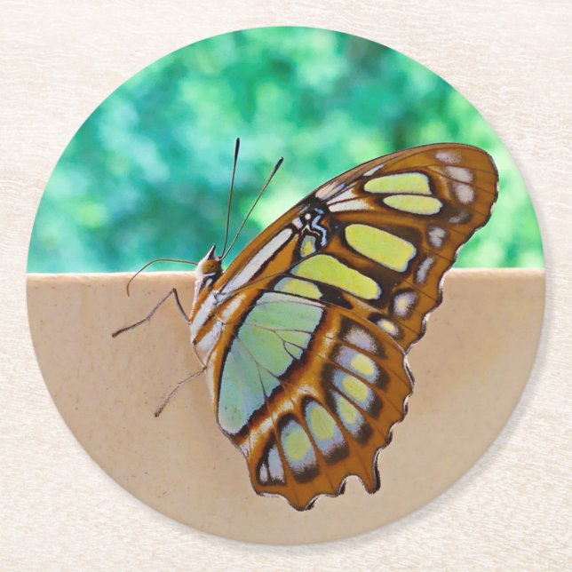 Beautiful Butterfly Pulp Board Coasters (Front)