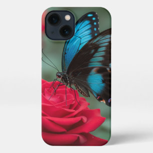 Beautiful Butterfly Red Roses - Stunning  iPhone 13 Case