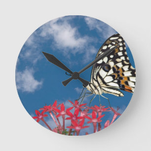 Beautiful Butterfly Round Clock