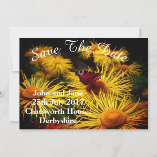 Beautiful Butterfly Save the Dates Save The Date