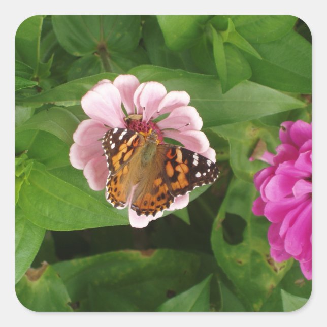 Beautiful Butterfly Sticker Set (Front)