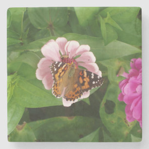 Beautiful Butterfly Stone Coaster