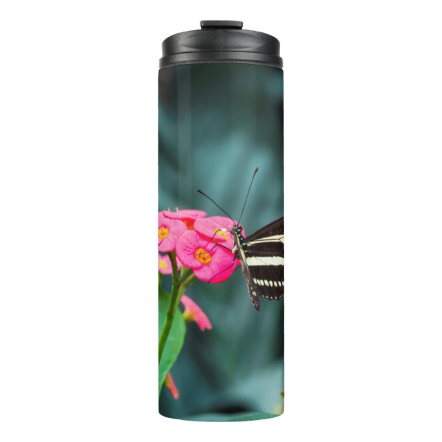 Beautiful butterfly  thermal tumbler (Front)