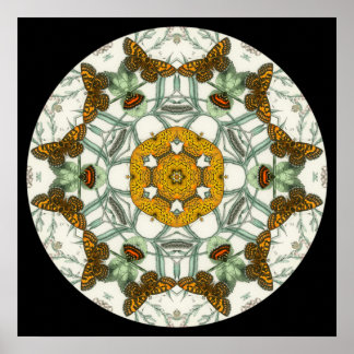 Beautiful butterfly wings mandala poster