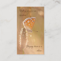 Beautiful butterfly with motivational quote