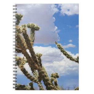 Beautiful Cactus Photo Notebook