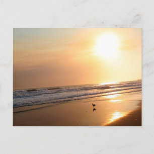 Beautiful California Ocean Sunset Postcard