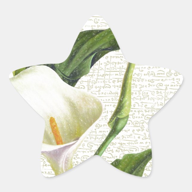 Beautiful Calla Lilies Star Sticker (Front)