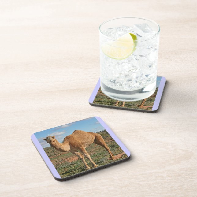 BEAUTIFUL CAMEL COASTER (Right Side)