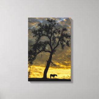 Beautiful Canvas Horse and Oak Tree with Sunrise Print