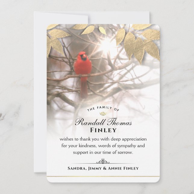 Beautiful Cardinal 5x7 Sympathy Thank You Card (Front)