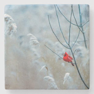 Beautiful Cardinal in the Snow Stone Coaster