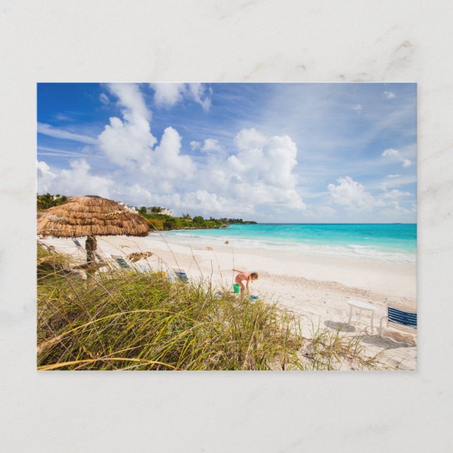 Beautiful Caribbean beach Postcard (Front)