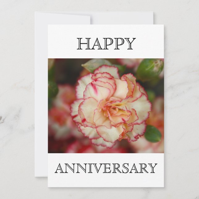 Beautiful Carnation Happy Anniversary Card (Front)
