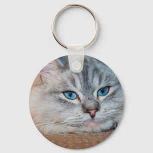 Beautiful cat blue eyes key ring